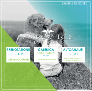 sensation-template-SN04